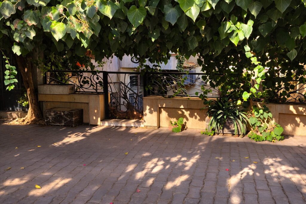 WhatsApp Image 2026-03-04 at 9.26.07 AM